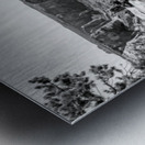 Crooked Tree At Spider Rock Grayscale Metal print