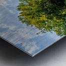 Rope Swing Big Spring Arkansas Metal print