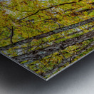 Vintage Concord One Room Schoolhouse Metal print