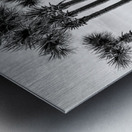 Paved Walkway To Pensacola Beach Grayscale Metal print