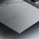 Gulf Breeze Evening Sailboat Grayscale Metal print