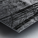 Spring Season Tranquility Grayscale Metal print