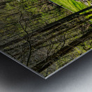 Green Spring Tranquility Metal print