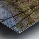 Walking Path On Spring Season Day Metal print