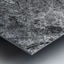 Spring Season Zen Garden Grayscale Metal print