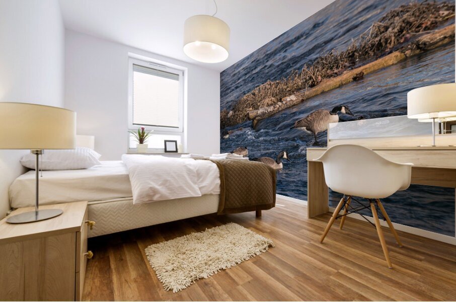 Canada Geese And Rapids Mural print