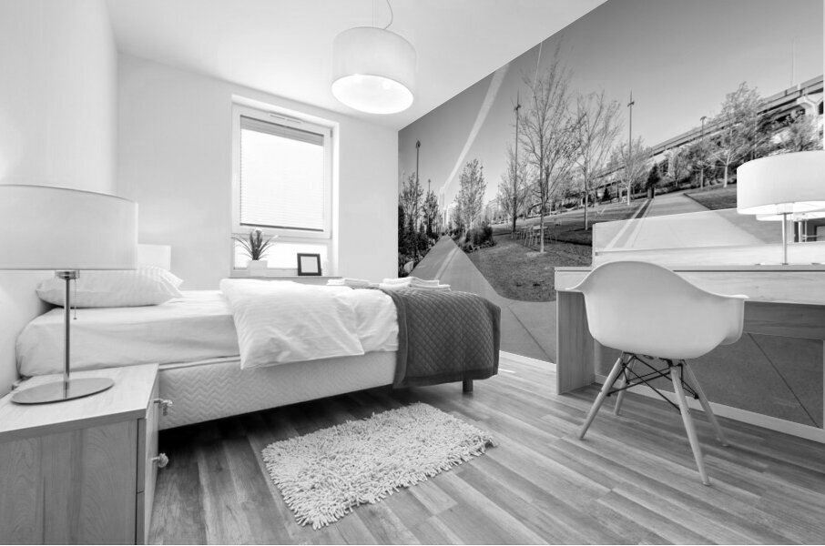 Omaha Riverfront Park Sidewalk Split Grayscale Mural print