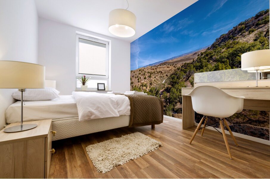 Harleys Dome Valley View Mural print