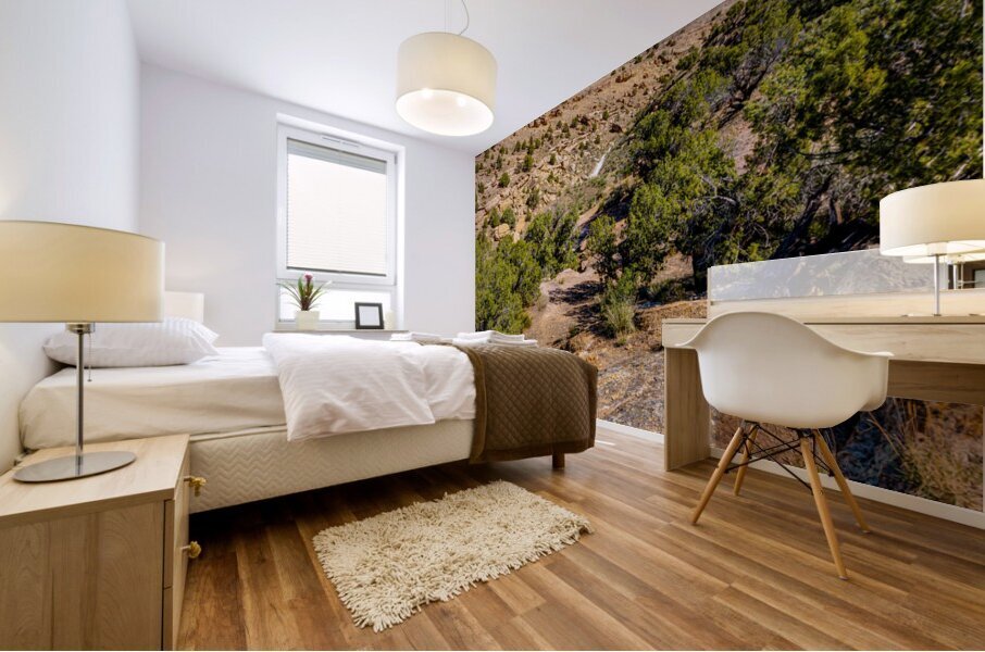 Harleys Dome Valley View Vertical Mural print