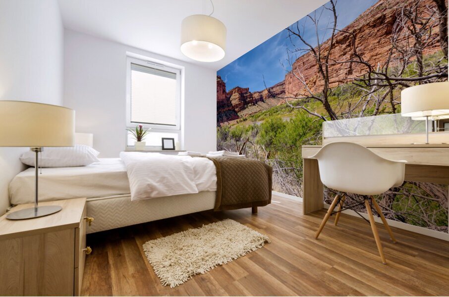 Dead Tree Colorado River Utah Mural print