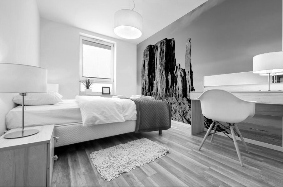 West Mitten Butte Monument Valley Grayscale Mural print
