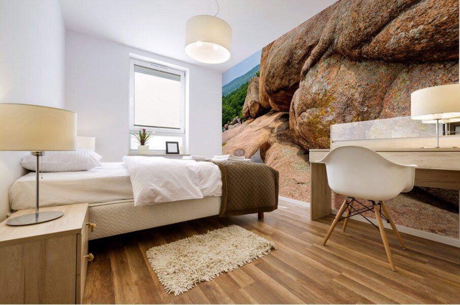 Hiking By Elephant Rocks Mural print