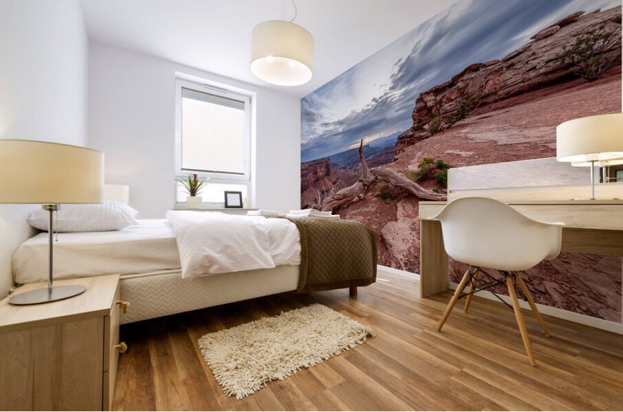 Utah Juniper Root On Canyons Edge Mural print