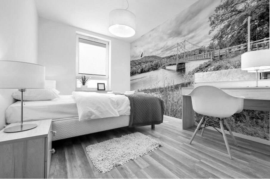 Hawk Over Little Golden Gate Grayscale Mural print