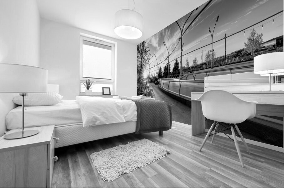 Omaha Skate Park Golden Sun Star Grayscale Mural print