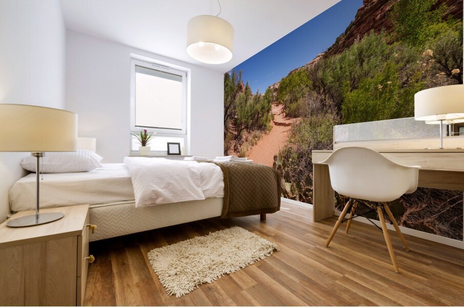 Pathway Through Grand Staircase Escalante Mural print