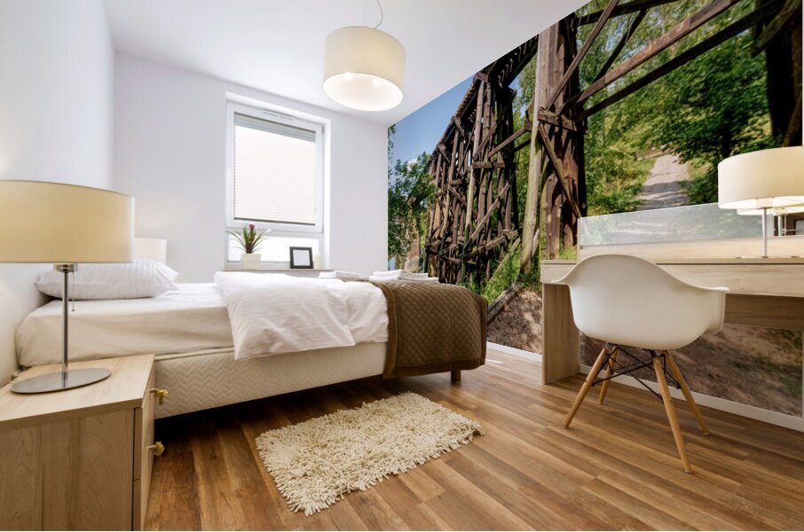 Path Under Old Railroad Bridge Mural print