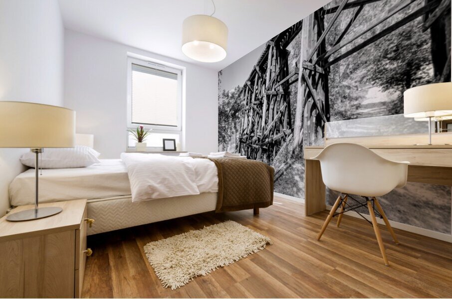 Path Under Old Railroad Bridge Grayscale Mural print