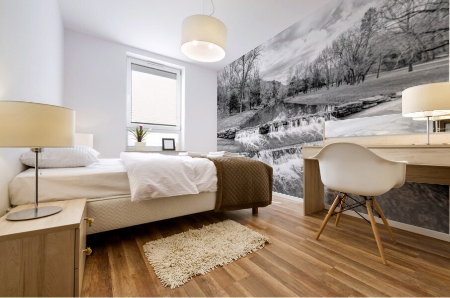 Lampe Waterfalls Over A Road Grayscale Mural print