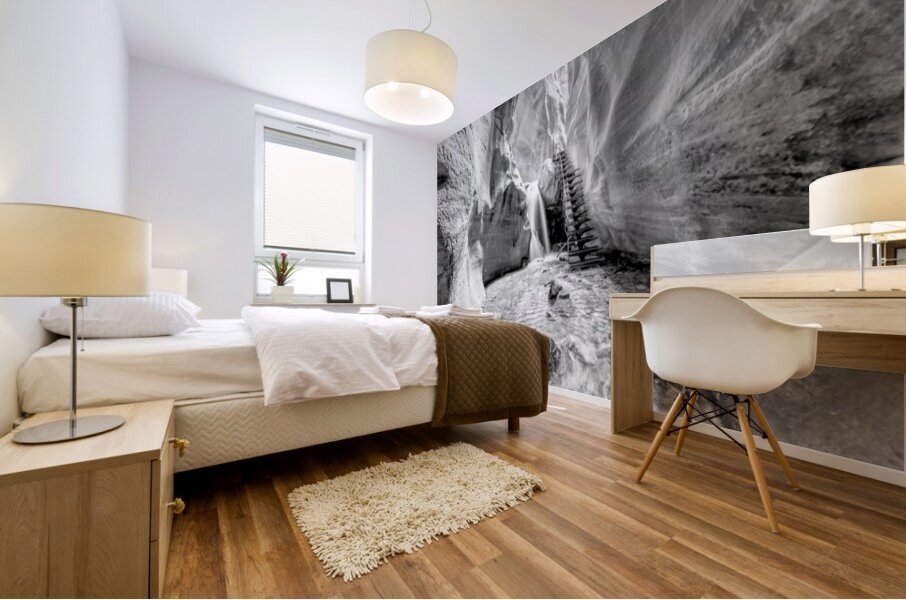 Glowing Kanarra Falls Staircase Grayscale Mural print