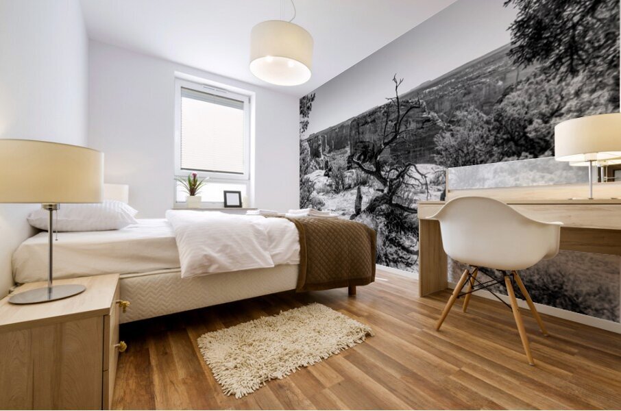 Crooked Tree At Spider Rock Grayscale Mural print