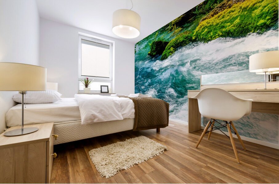 Rapids At Big Spring Missouri Mural print