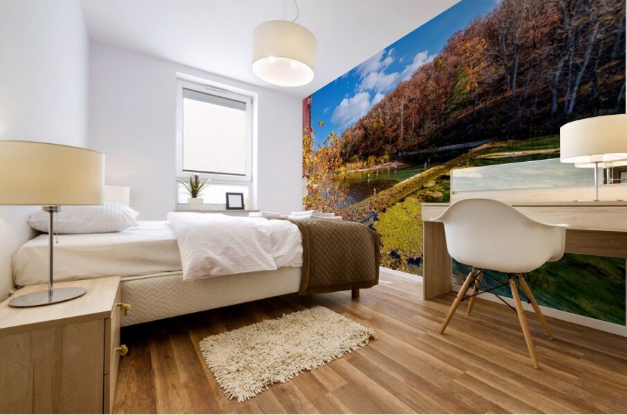 Rockbridge Mill Dam View Mural print