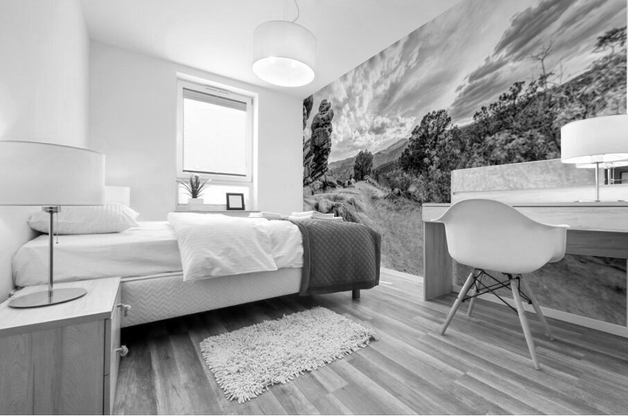 Pikes Peak View Behind Siamese Twins Grayscale Mural print