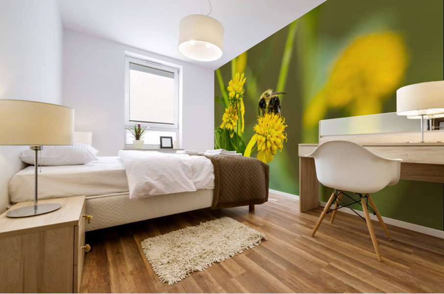 Bumblebee Mural print