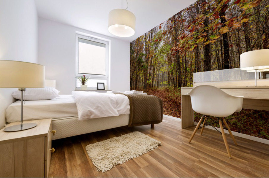 Autumn Bliss Mural print
