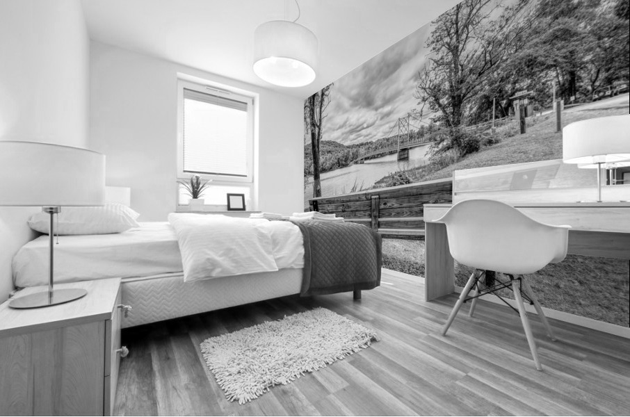 Bench View Beaver Bridge Grayscale Mural print