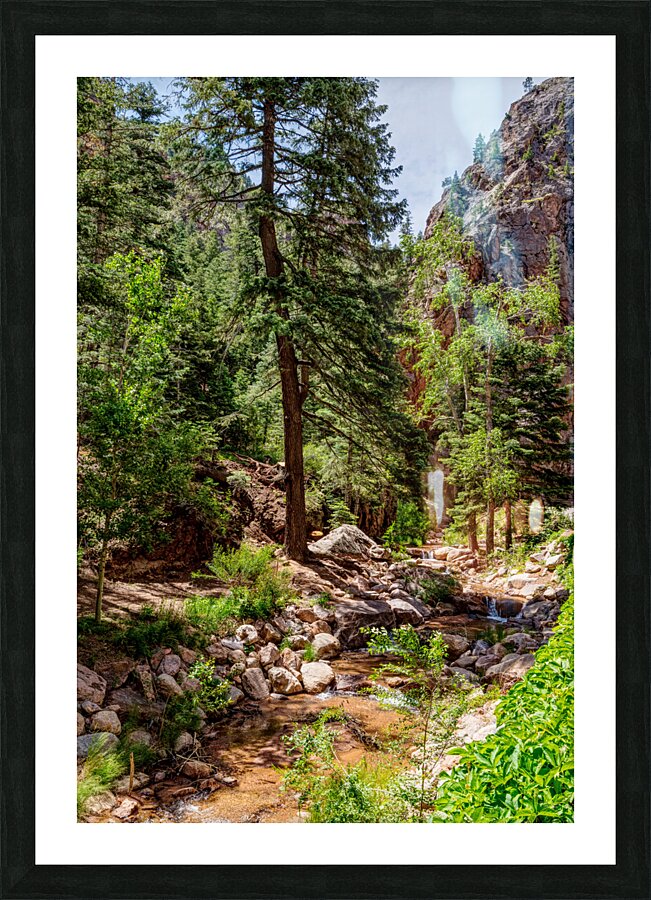 Colorado Forest Creek And Mountains Picture Frame print
