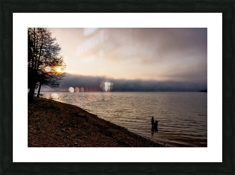 Tree Stump Snap By The Shoreline Picture Frame print