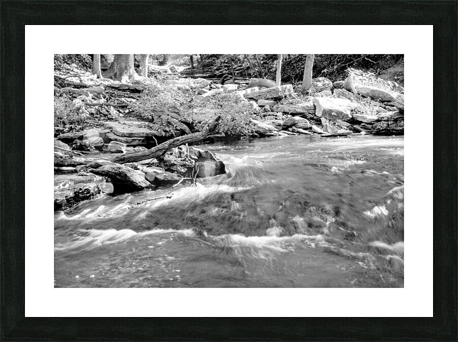 Tanyard Creek Rushing Water Grayscale Picture Frame print
