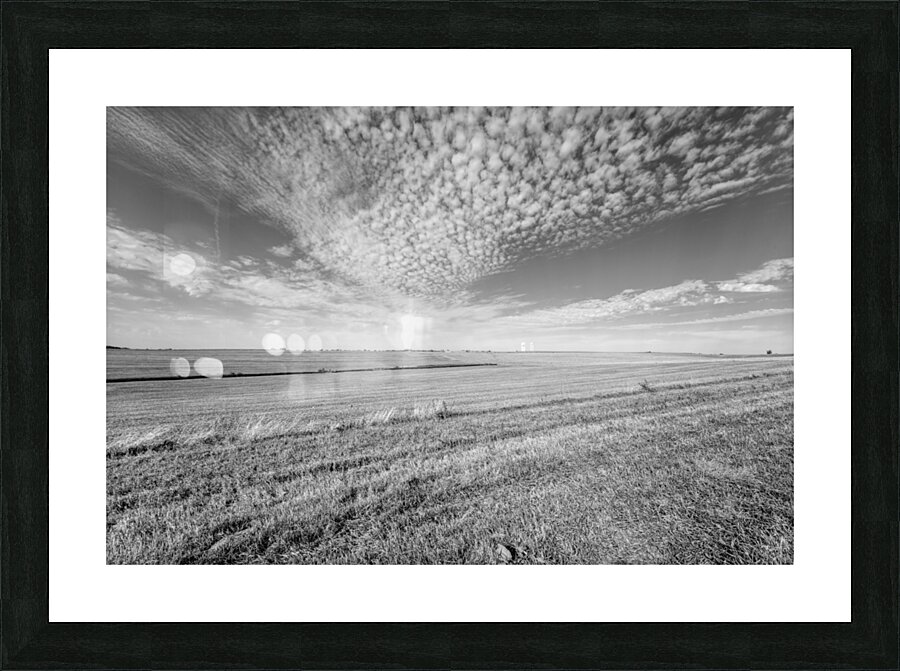 Popcorn Clouds Over Nebraska Farm Grayscale Picture Frame print
