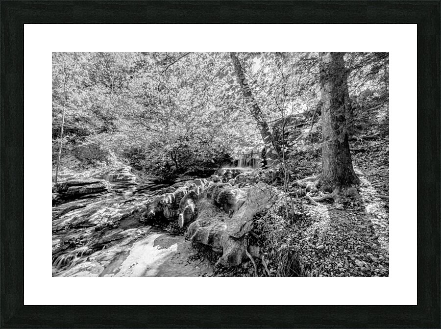 Tanyard Creek Waterfall In The Woods Grayscale Picture Frame print