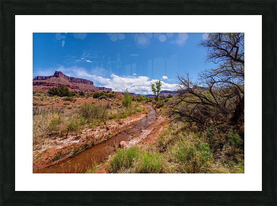 Utah Desert Hiking At Professor Creek Picture Frame print