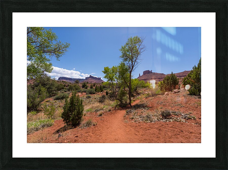 Professor Creek Utah Hiking Trail Picture Frame print