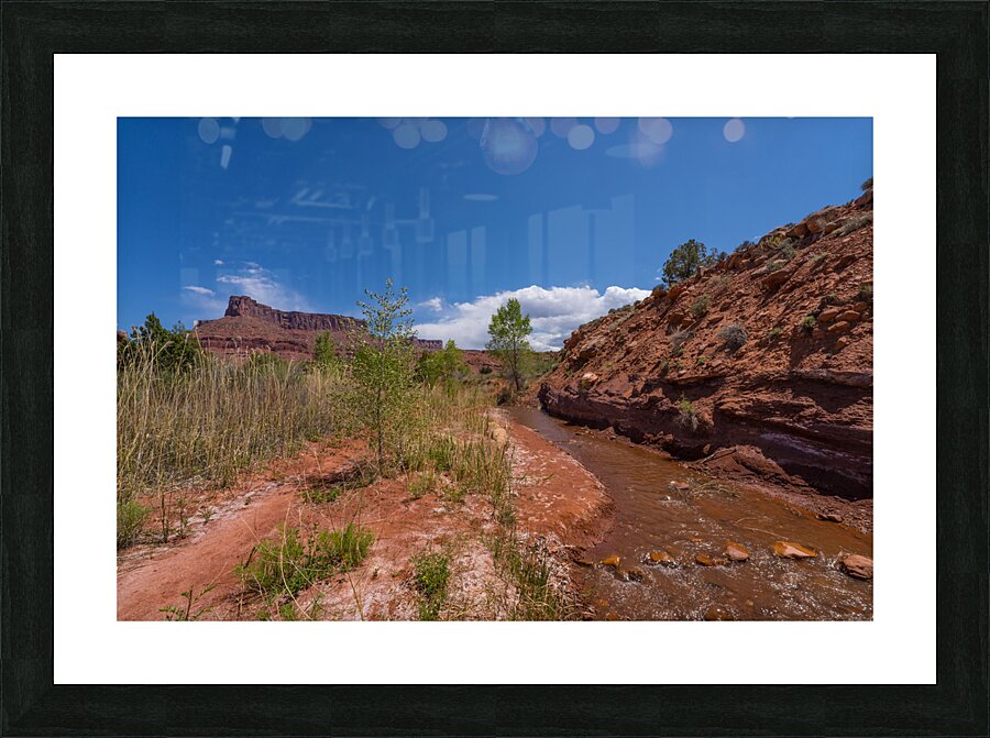 Professor Creek By A Bluff Picture Frame print