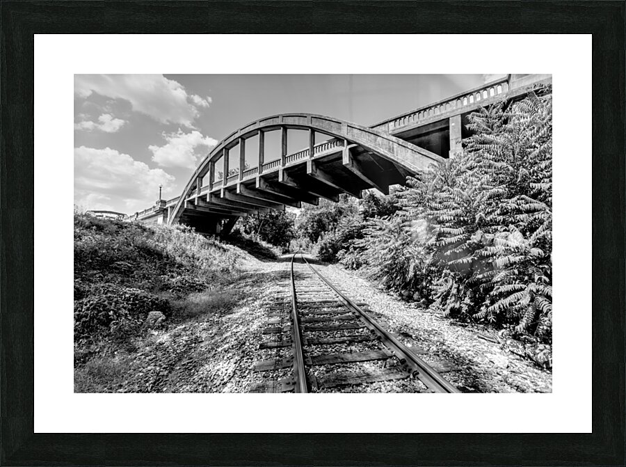 Railroad Tracks Under Cotter Bridge Grayscale Picture Frame print