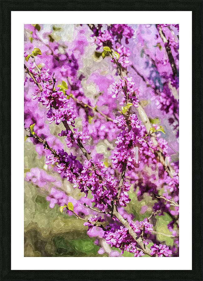 Purple Redbuds Painterly Picture Frame print