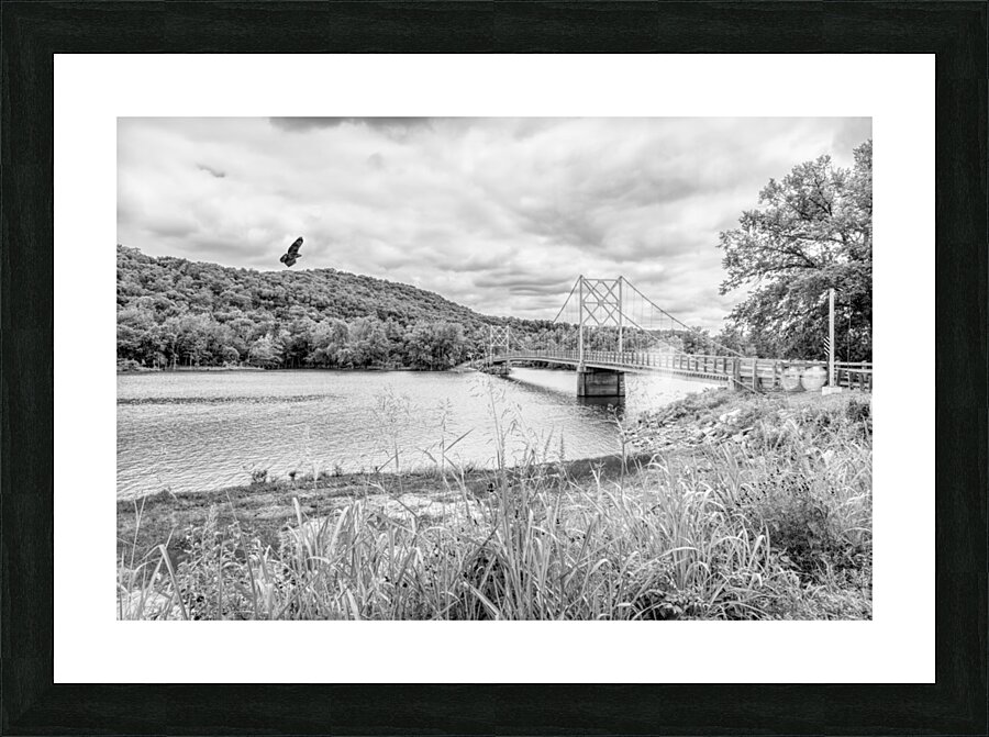 Hawk Over Little Golden Gate Grayscale Picture Frame print