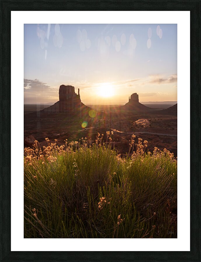 Yellow Flowers Monument Valley Sunrise Picture Frame print