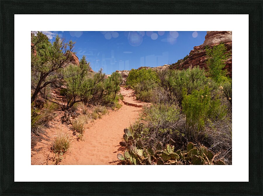 Pathway Through Grand Staircase Escalante Picture Frame print