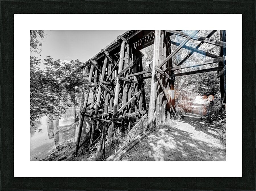 Path Under Old Railroad Bridge Grayscale Picture Frame print