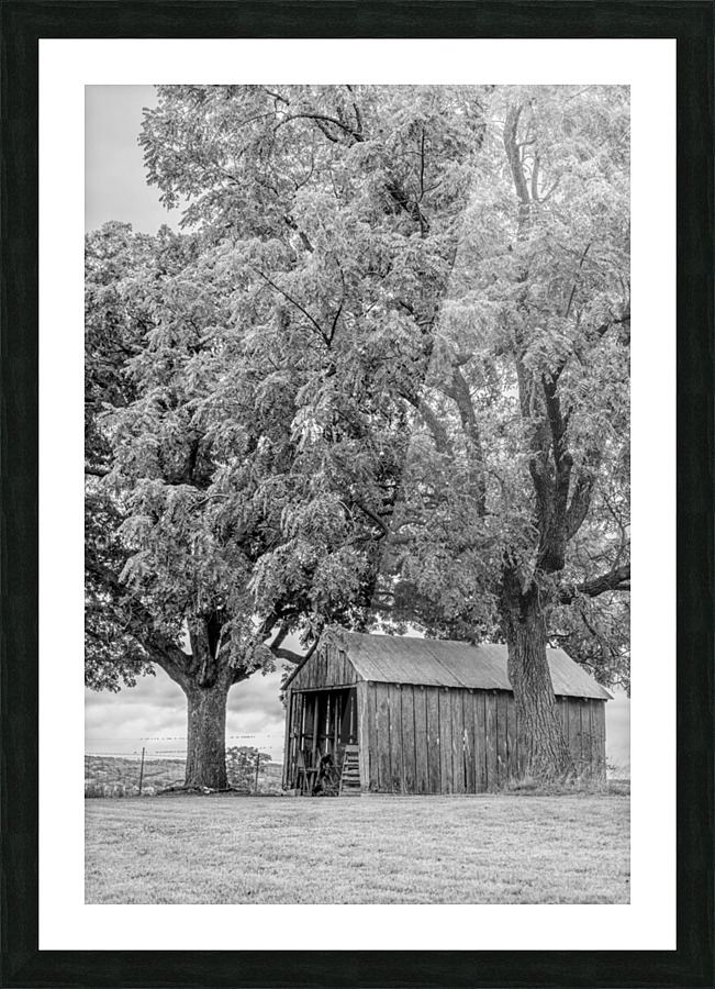 This Old Shed Grayscale Picture Frame print