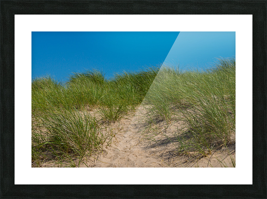 Dune And Oats Picture Frame print