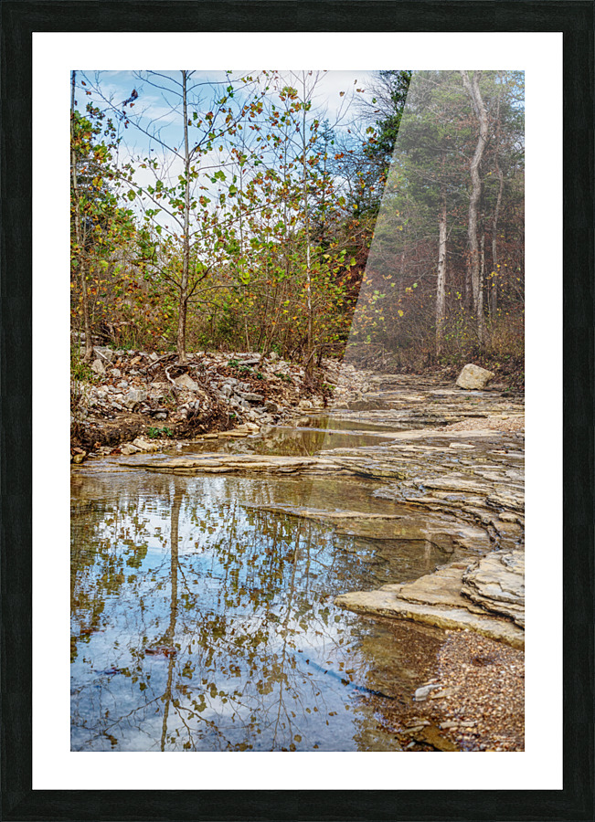 Roark Creek Fall Reflections Picture Frame print
