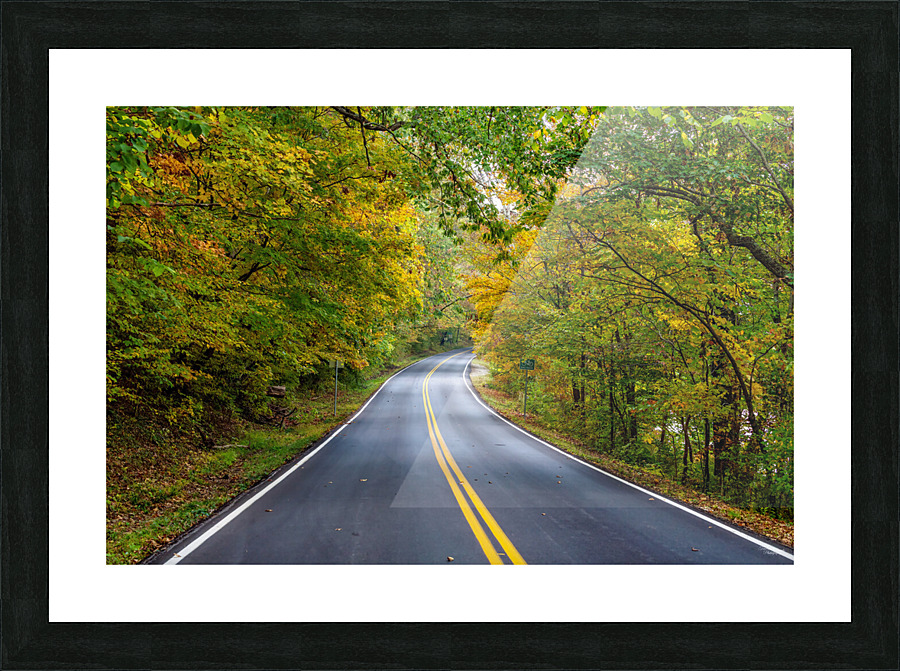 Fall Season Tree Lined Road Picture Frame print
