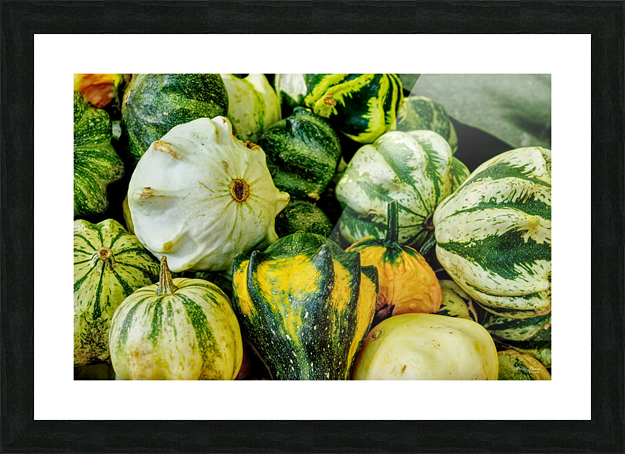 Gourds Galore Picture Frame print